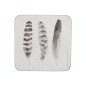 Creative Tops Feathers Pack Of 6 Premium Coasters