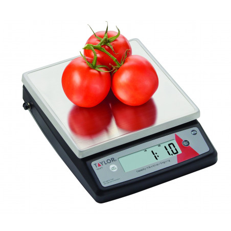 Taylor Stainless Steel Digital Portion Control 5KG Kitchen Scale