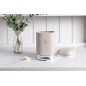 Lovello Latte Cream Textured Sugar Canister