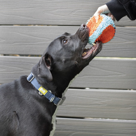 BUILT PET Large Blue NightSafe™ Reflective Collar