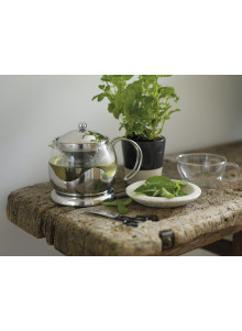 La Cafetière Le Teapot Glass Tea Infuser, 2-Cup, Stainless Steel