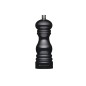 MasterClass Salt or Pepper Mill (17cm) - Black