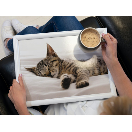 Creative Tops Sleeping Kitten Laptray