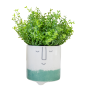 KitchenCraft Ceramic Plant Pot with Happy Face Design