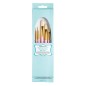 KitchenCraft Pack of 5 Sugarcraft Decorating Brushes