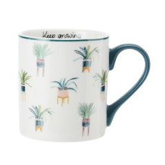 Mugs & Cups (3)