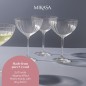 Mikasa Treviso 4-Piece Crystal Coupe Glass Set, 300ml