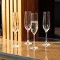 Mikasa Treviso 4-Piece Crystal Flute Glass Set, 190ml