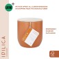 KitchenCraft Idilica Kitchen Canister with Beechwood Lid, 12 x 12cm, Terracotta